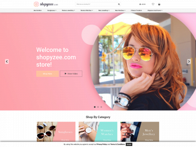 shopyzee.com snapshot