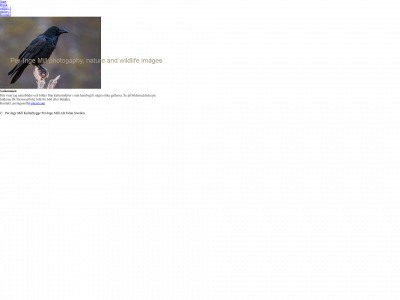 peringemill.com snapshot