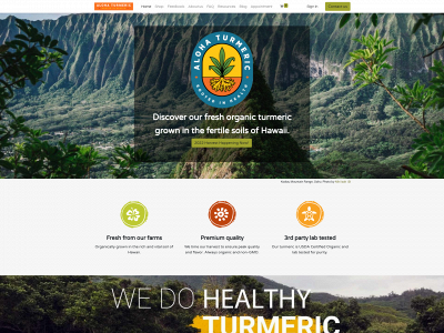 alohaturmeric.com snapshot