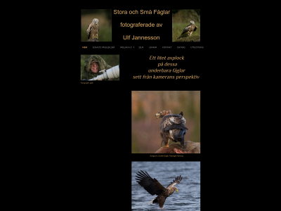 birdsbyulfjannesson.com snapshot