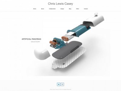 chrislewiscasey.com snapshot