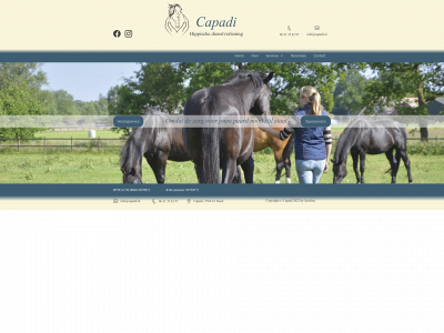 capadi.nl snapshot