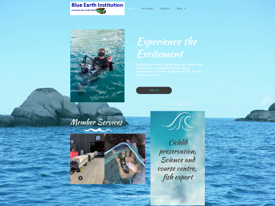 blueearthinstitution.org snapshot