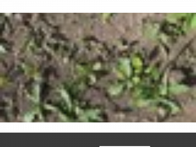 5kw.ag snapshot