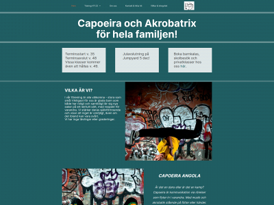 capoeiraangola.se snapshot
