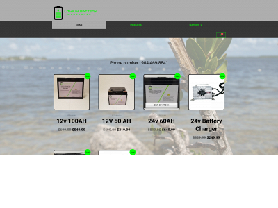 lithiumbatterywarehouse.com snapshot