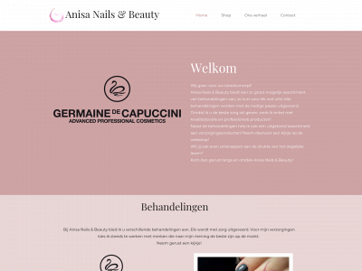anisanailsbeauty.store snapshot