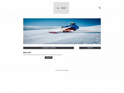 skipre.com snapshot