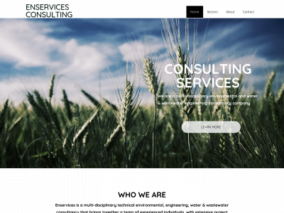 enservices-group.com snapshot