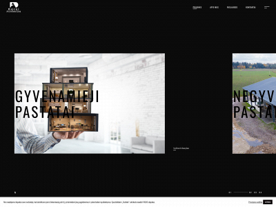 darniarchitektura.lt snapshot