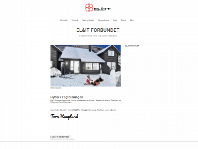 elogit-teleogdata-vestland.com snapshot