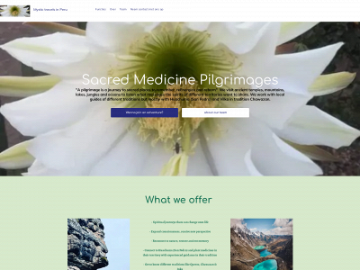 mysticpilgrimages-peru.com snapshot