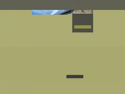 laigrin.be snapshot
