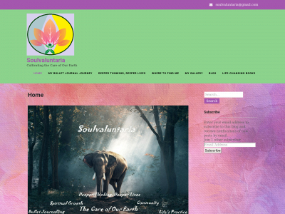 soulvaluntaria.com snapshot
