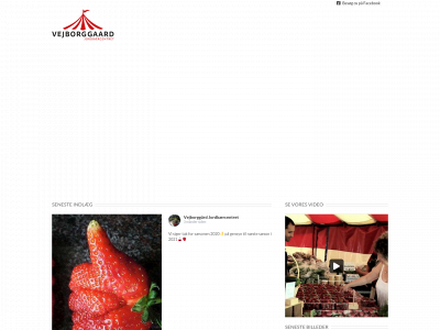 vejborggaard.dk snapshot