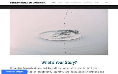 annconwaywritingconsulting.weebly.com snapshot