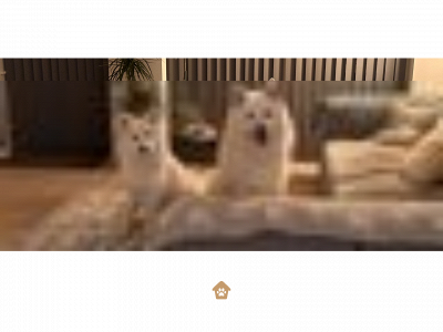 danskspidshvalpe.dk snapshot