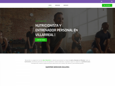 alendnutricion.com snapshot