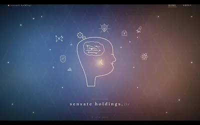 sensateholdings.com snapshot