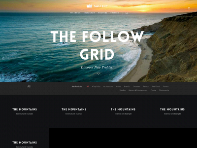 thefollowgrid.com snapshot