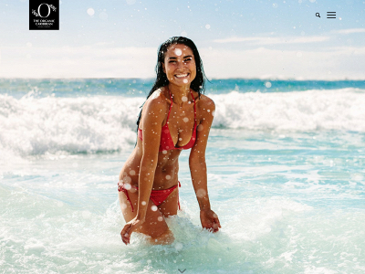 theorganiccaribbean.com snapshot