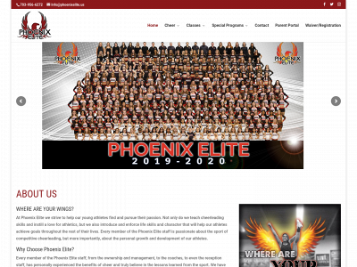 phoenixelite.us snapshot