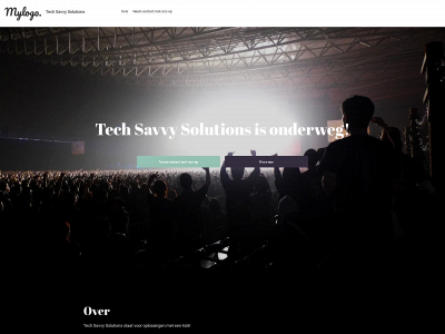 techsavvysolutions.nl snapshot