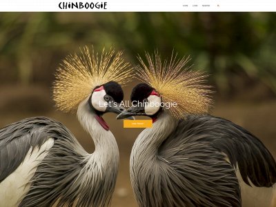 chinboogie.com snapshot