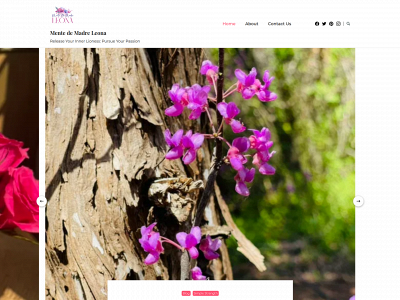 mentedemadreleona.com snapshot
