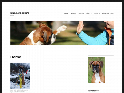 dunderboxer.se snapshot