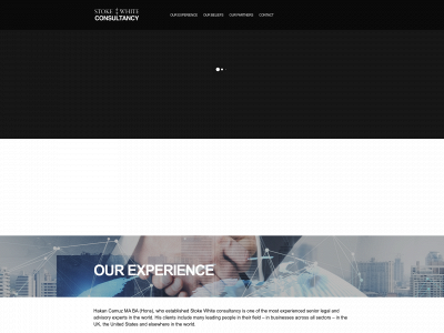stokewhiteconsultancy.co.uk snapshot