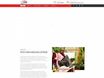hlsinternational.co.uk snapshot