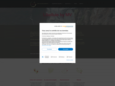 libellulebymv.com snapshot