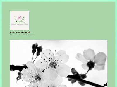 amatealnatural.com snapshot