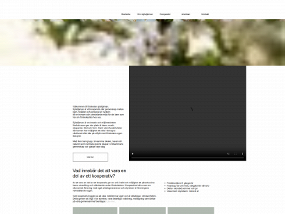 sjostjarnan.se snapshot