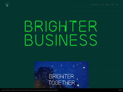brighter-business.se snapshot