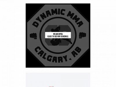 www.dynamicmma.ca snapshot