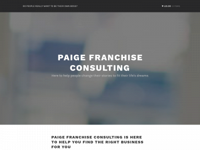 bam-paigeconsulting.com snapshot