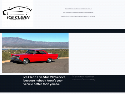 icecleanusa.com snapshot