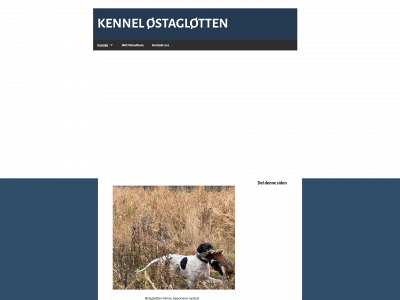 ostaglotten.com snapshot