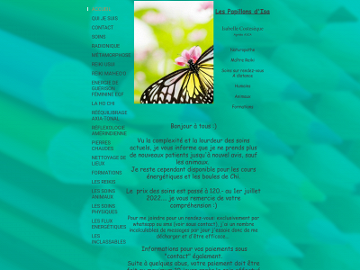 lespapillonsdisa.com snapshot