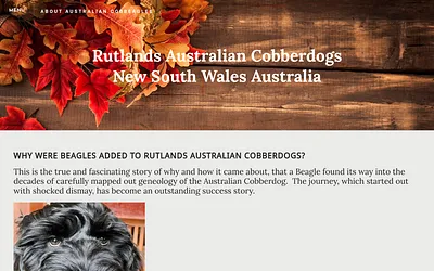 www.aboutastraliancobbeagles.com snapshot