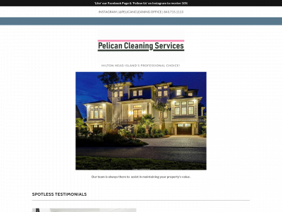 pelicancleaningservices.com snapshot