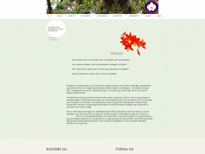 orkideklub-sok.dk snapshot