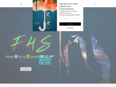 www.flyfourseasons.com snapshot