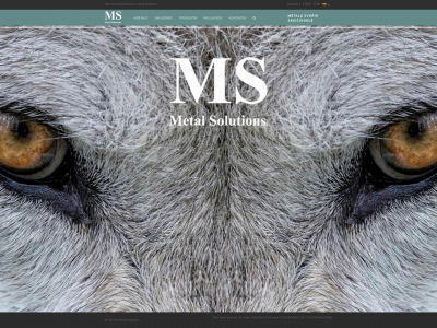 metal-solutions.lt snapshot