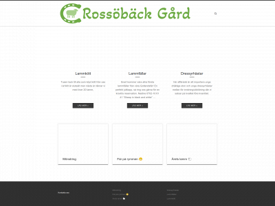 rossobackgard.se snapshot