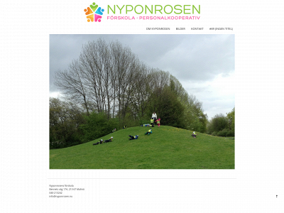 nyponrosen.nu snapshot