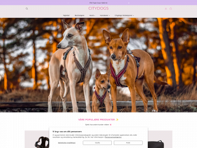 citydogs.no snapshot