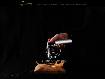 thecooktailmaster.com snapshot